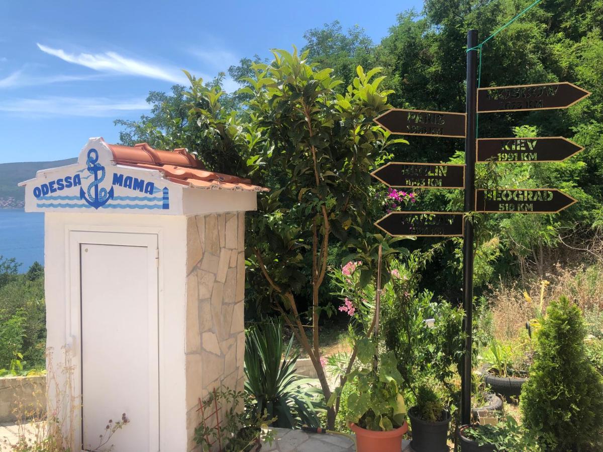 شقة Odessa Mama بِييلا المظهر الخارجي الصورة